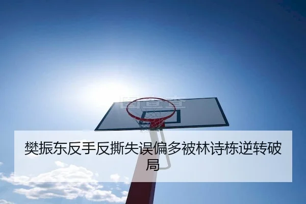 樊振东反手反撕失误偏多被林诗栋逆转破局（3377sports）